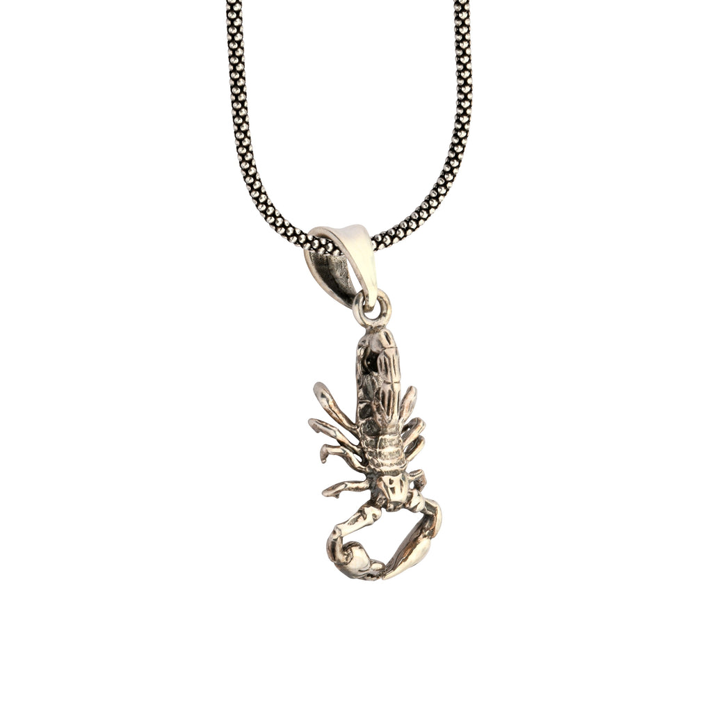 Silver lobster pendant on a chain against a white background