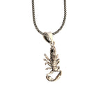 Silver lobster pendant on a chain against a white background