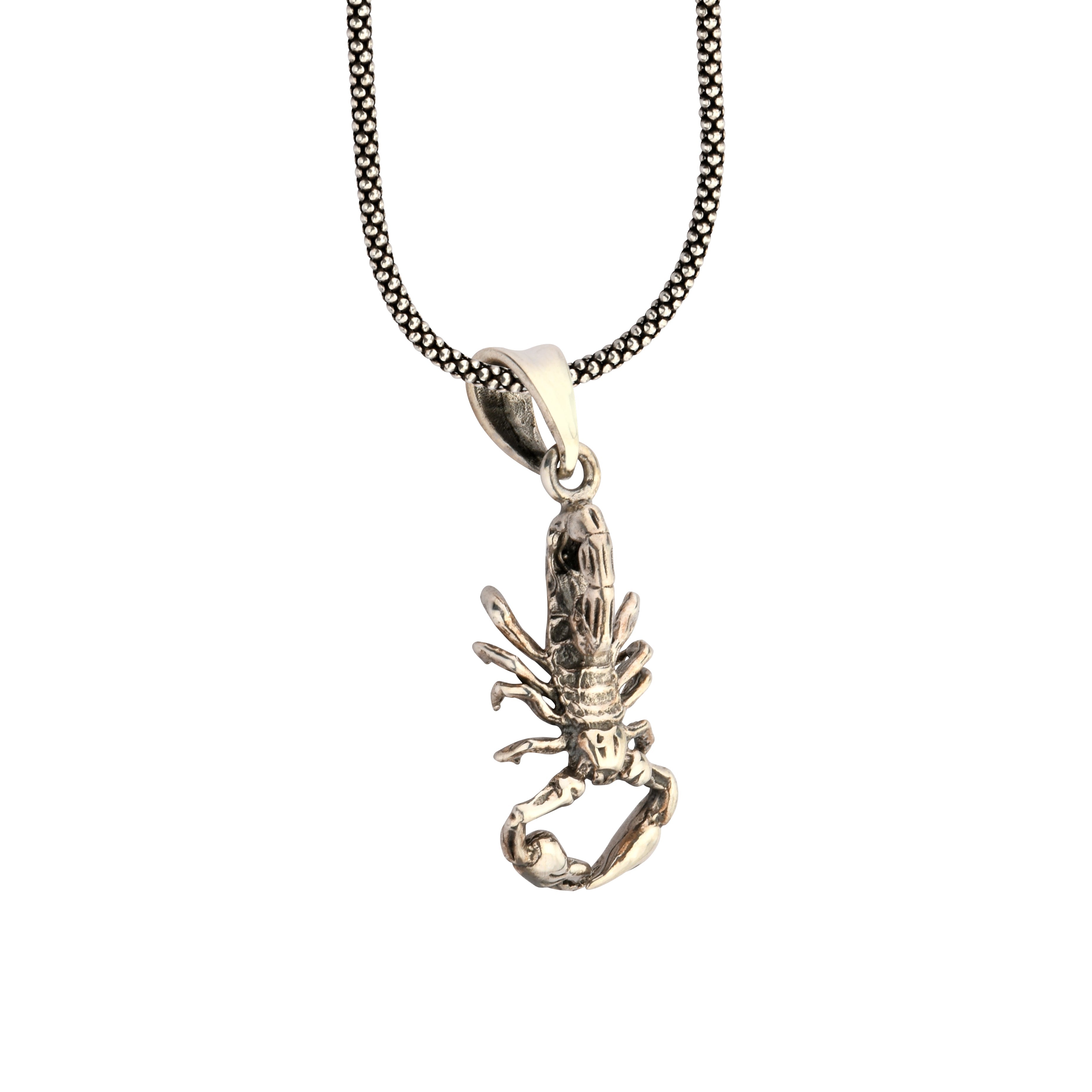 Silver lobster pendant on a chain against a white background