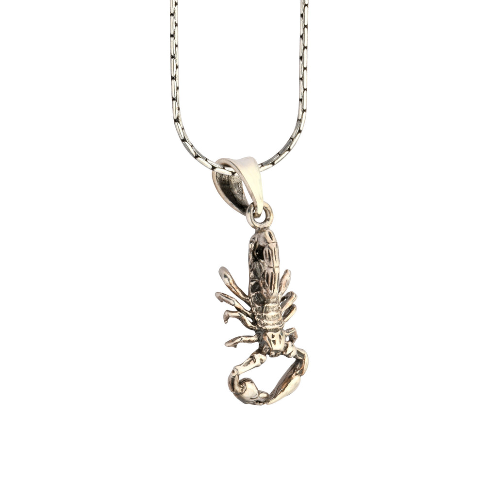 Silver lobster pendant on a chain against a white background