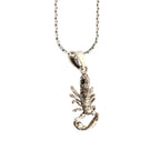 Silver lobster pendant on a chain against a white background