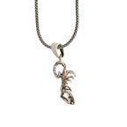 Silver scorpion pendant on a chain against a white background