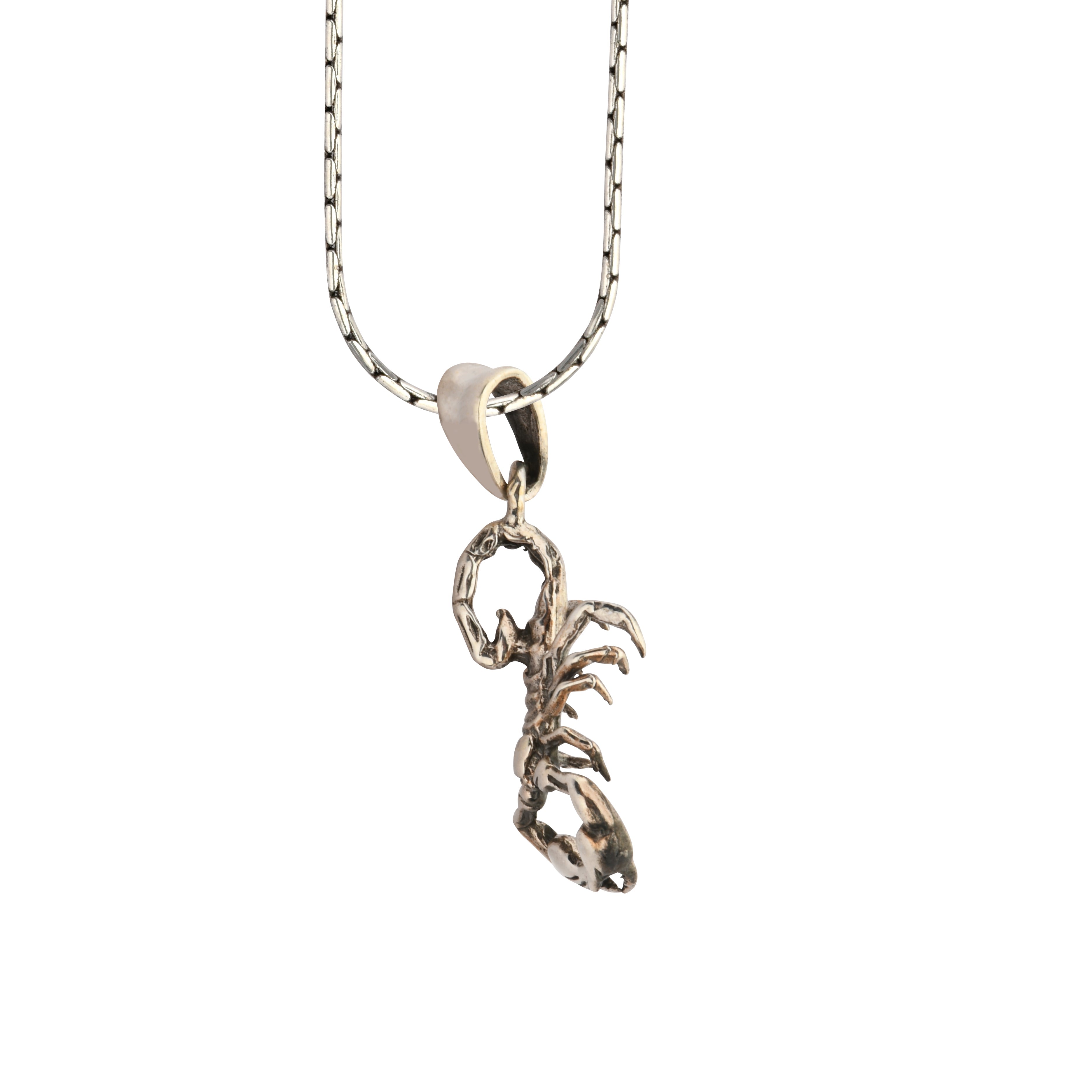 Silver scorpion pendant on a chain against a white background