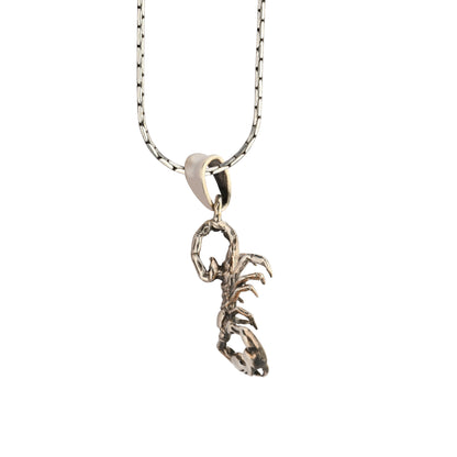 Silver scorpion pendant on a chain against a white background